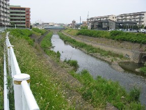 日本文化大学と小さな用水路の関係